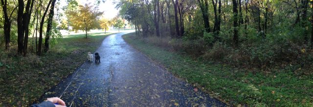 I am thankful for the beautiful fall weather this time of year!  The pups and I always enjoy the crisp fall air when we are on walks this time of year!