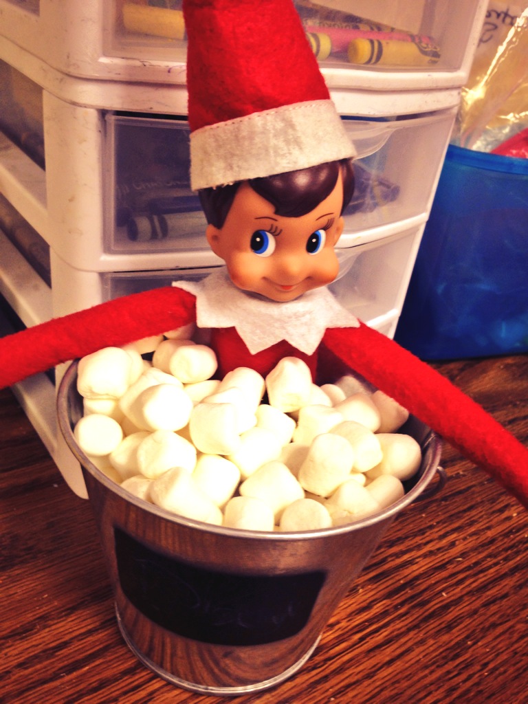 Day 8:  Elfie chilling in a hot tub full of marshmallows!  