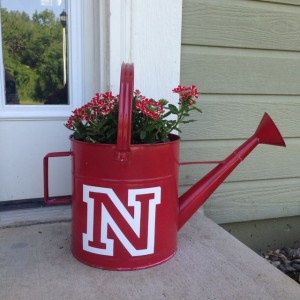 This year I planted Vodoo Red Stars instead of Geraniums in my Nebraska watering can!  Click on the photo to see the DIY blog post to learn how to make your own!