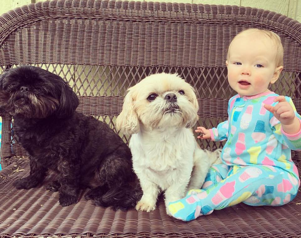 Avery with her doggies Chloe & Mia after breakfast on the patio.