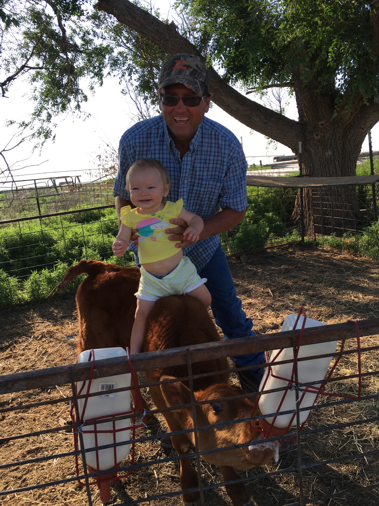 Avery got to help grandad feed the calf a bottle. The girl loves animals. Look at that smile!